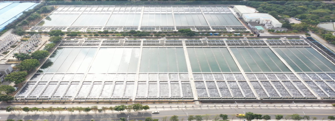 聚焦、合作，深挖MBBR寶藏 | 思普潤聯(lián)合產(chǎn)學(xué)研用突破低污染水處理生化瓶頸